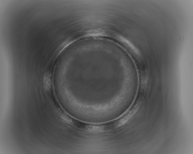 X0000111201361200907081233