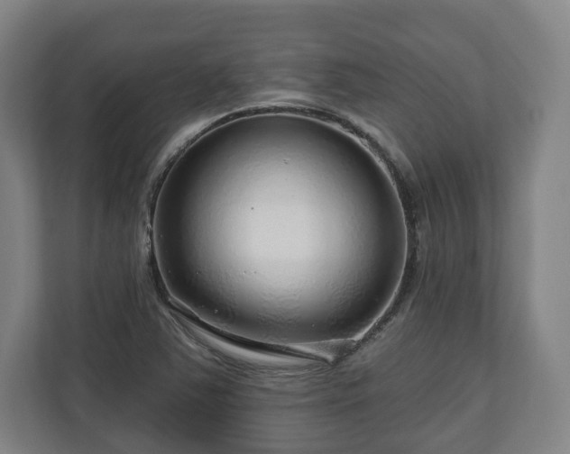 X0000111201363200907081233