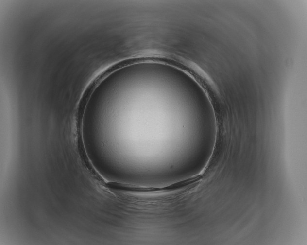 X0000111201364200907081233