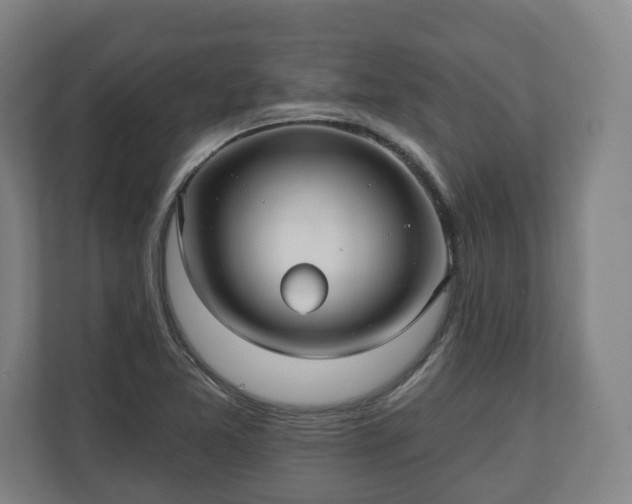 X0000111201365200907081233