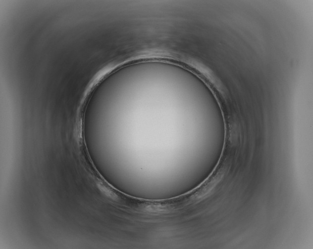 X0000111201366200907081233