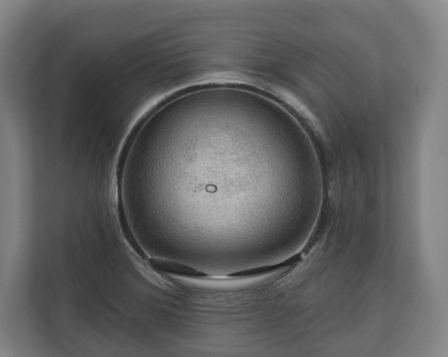 X0000111201372200907081233