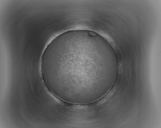 X0000111201374200907081233