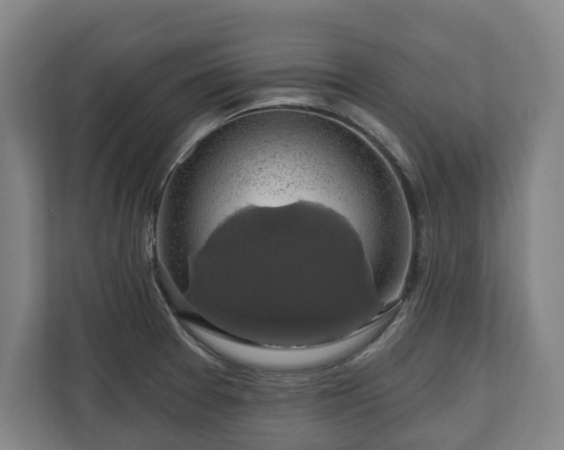 X0000111201377200907081233