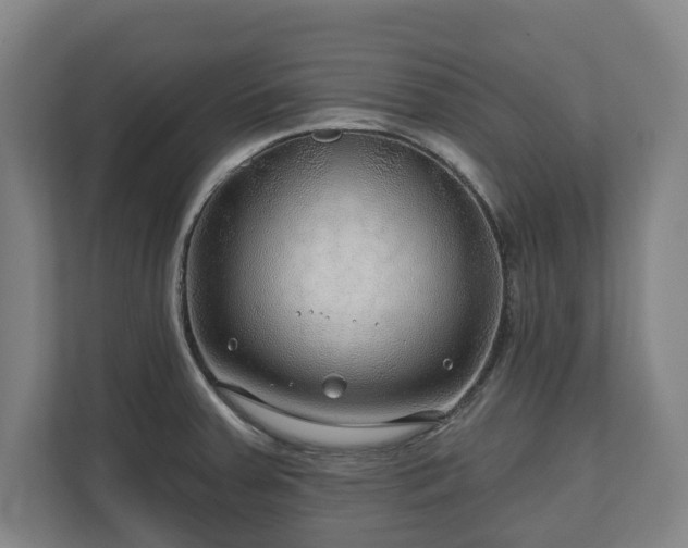 X0000111201379200907081233