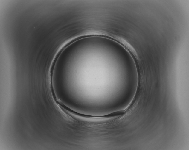 X0000111201380200907081233