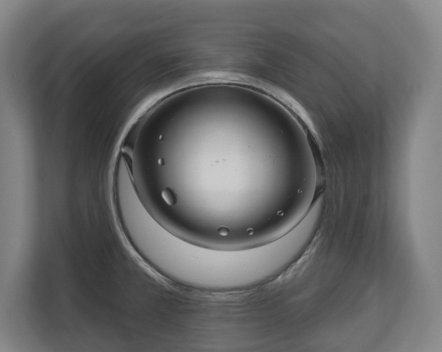 X0000111201381200907081233