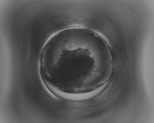 X0000111201383200907081233