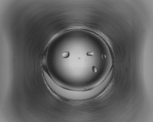 X0000111201385200907081233