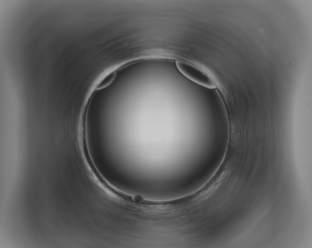 X0000111201387200907081233