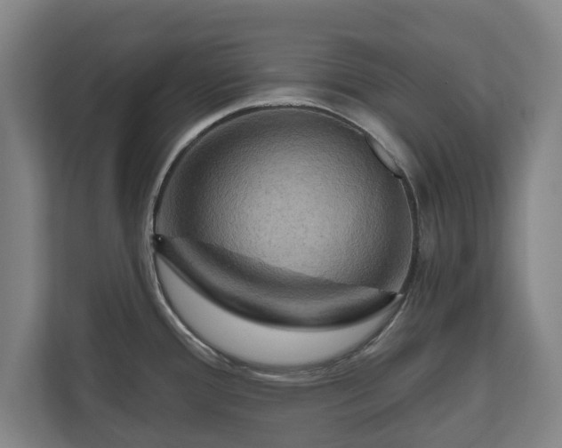 X0000111201388200907081233