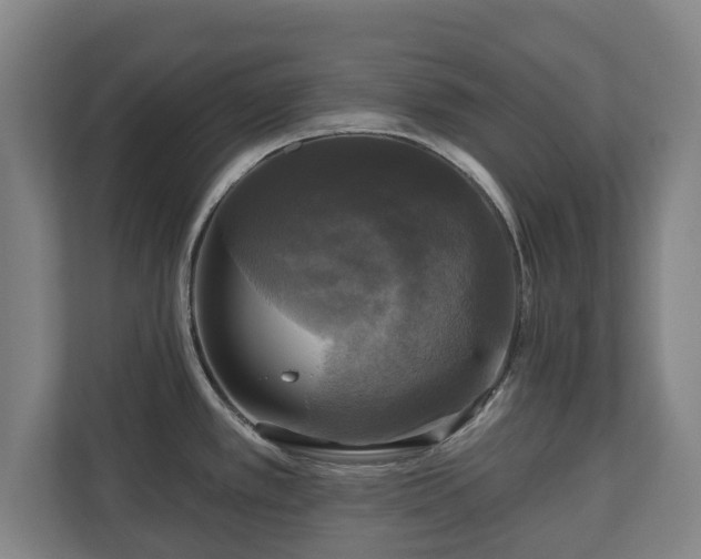 X0000111201389200907081233