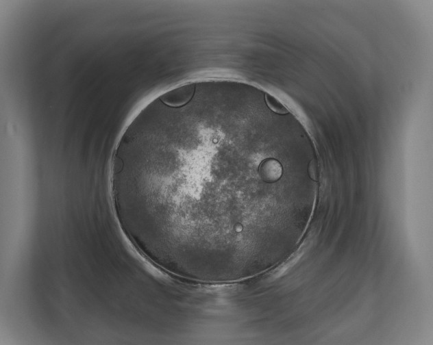 X0000111201390200907081233