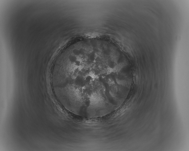 X0000111201393200907081232