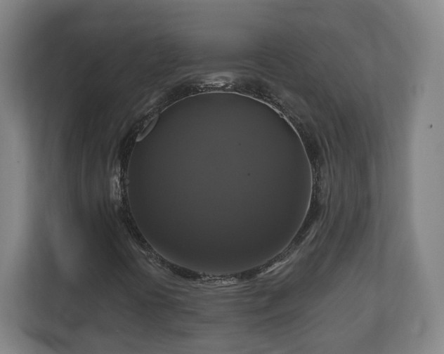 X0000111201394200907081232