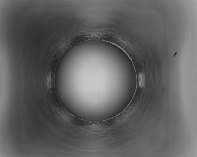 X0000111201395200907081232