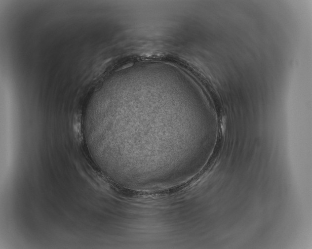 X0000111201396200907081232