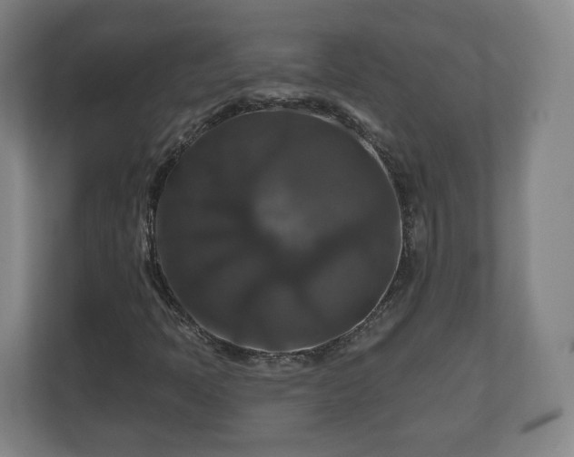 X0000111201397200907081232