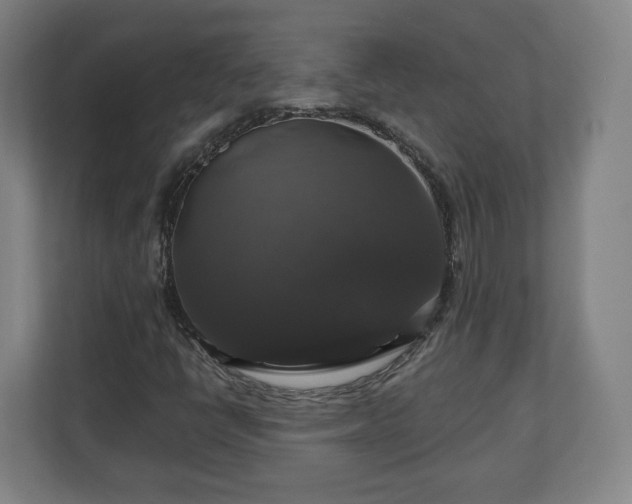 X0000111201398200907081232