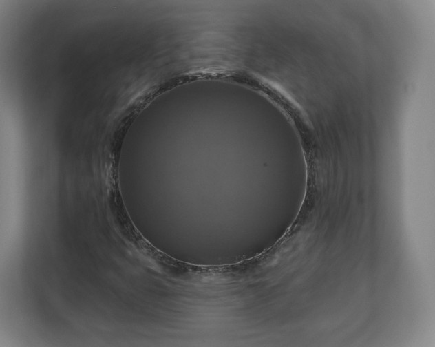 X0000111201399200907081232