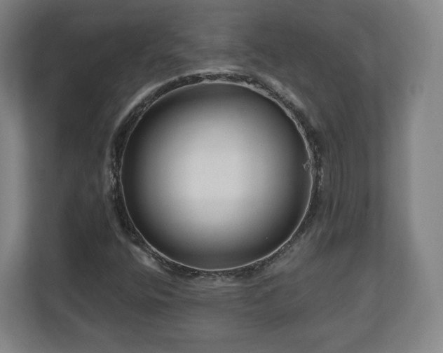 X0000111201400200907081232