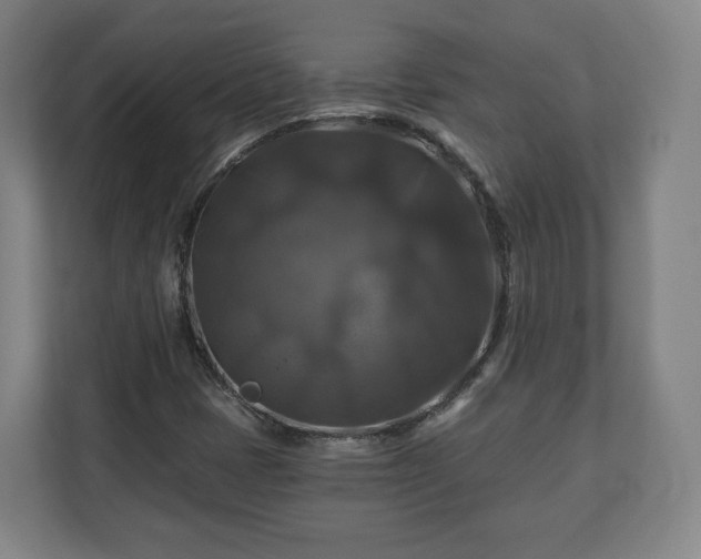 X0000111201401200907081232