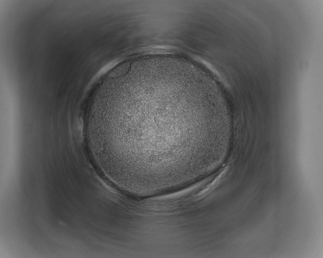 X0000111201402200907081232