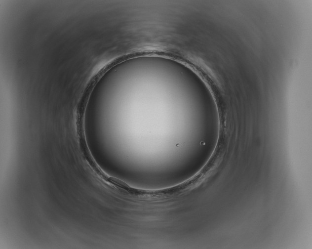 X0000111201404200907081232