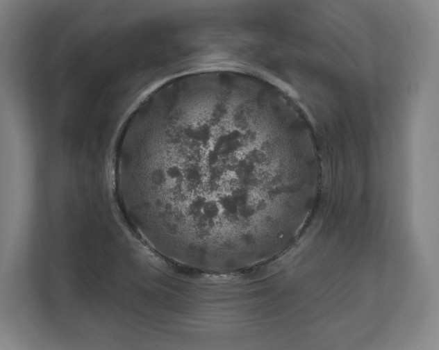 X0000111201415200907081232