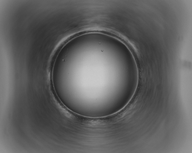 X0000111201416200907081232