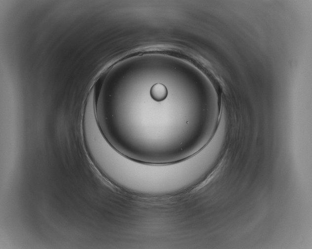 X0000111201417200907081232