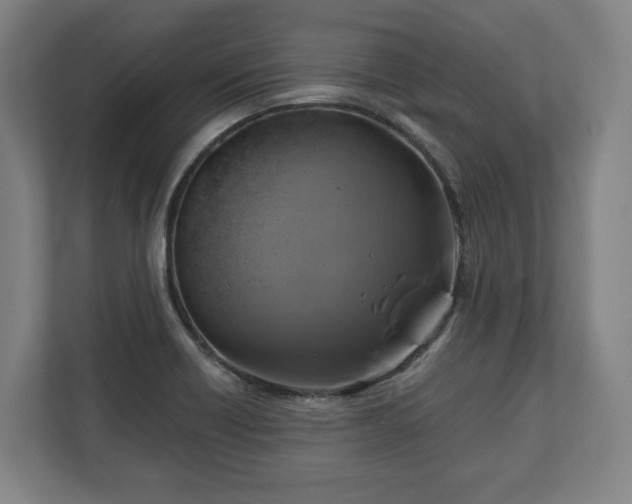 X0000111201418200907081232