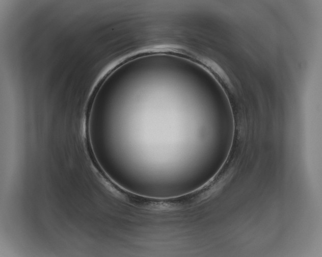 X0000111201420200907081232