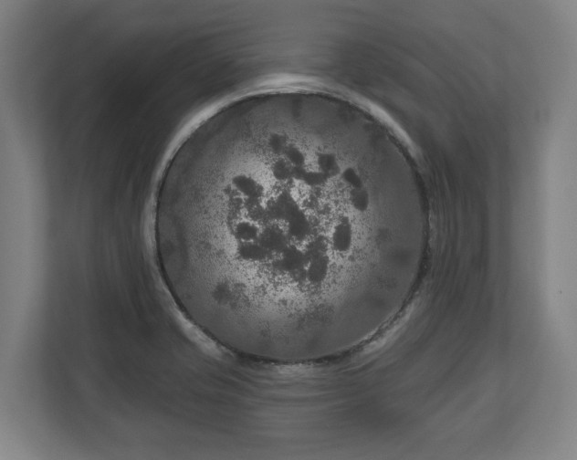 X0000111201421200907081233