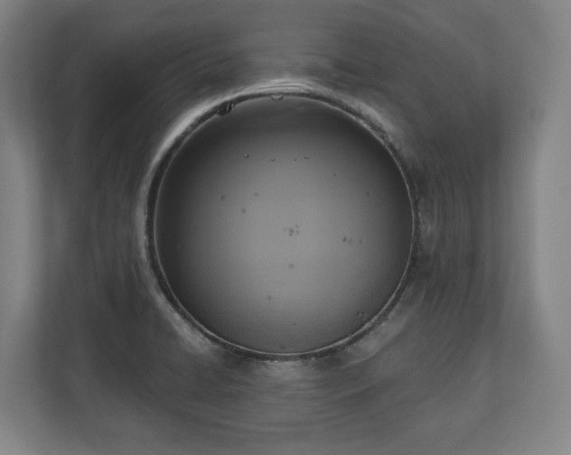 X0000111201422200907081233