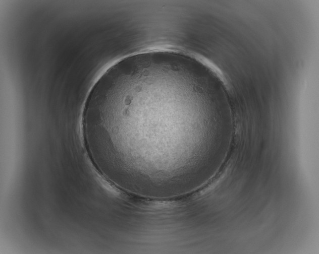 X0000111201423200907081233