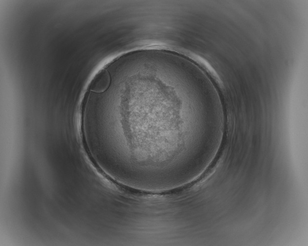 X0000111201424200907081233