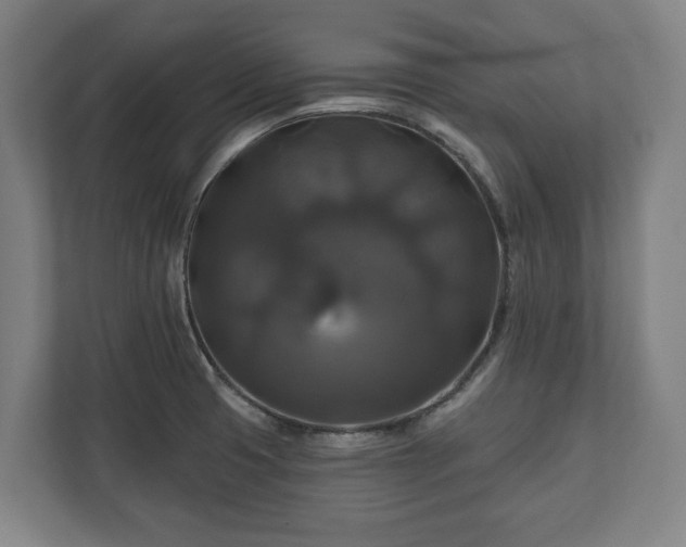 X0000111201425200907081233