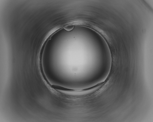 X0000111201426200907081233