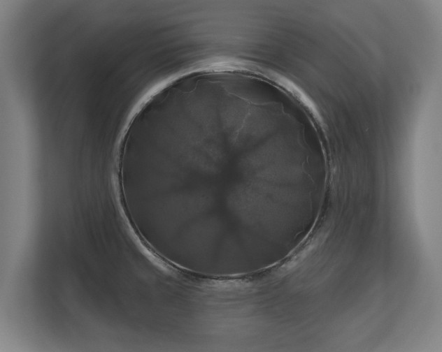 X0000111201429200907081233