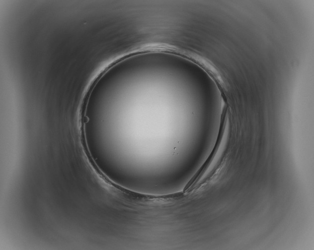 X0000111201430200907081233