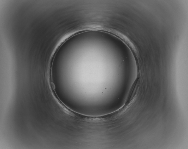 X0000111201432200907081233