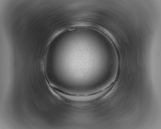 X0000111201433200907081233