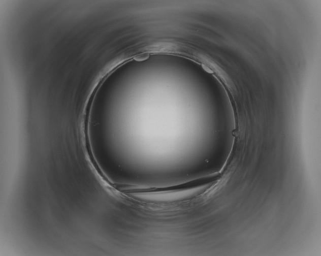 X0000111201434200907081233