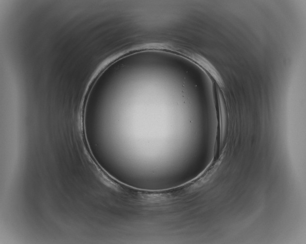 X0000111201436200907081233