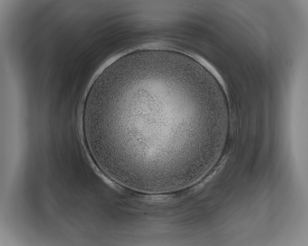 X0000111201437200907081233