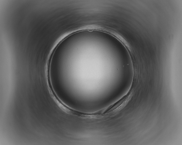 X0000111201438200907081233