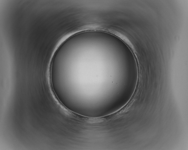 X0000111201440200907081233