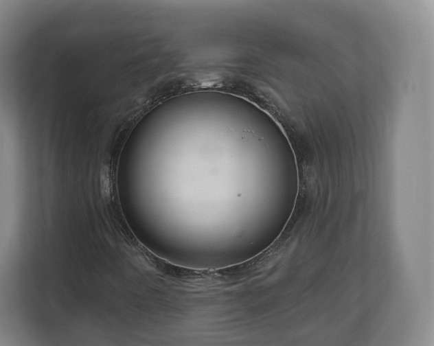 X0000111201442200907081232