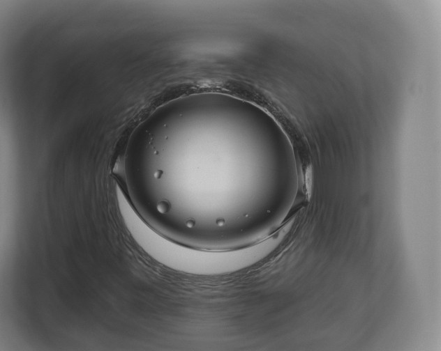 X0000111201443200907081232